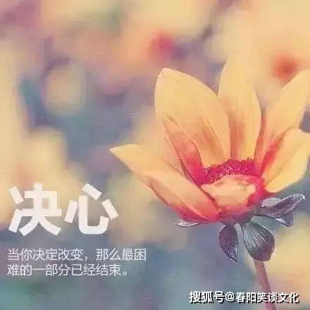 句子,個性簽名,能量,青春