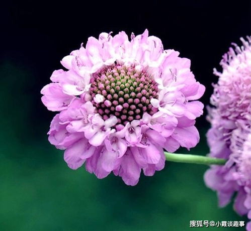 積極向上的句子人生正能量青春陽光