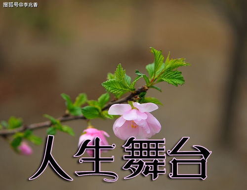 最好的,句子,能量,舞臺(tái)