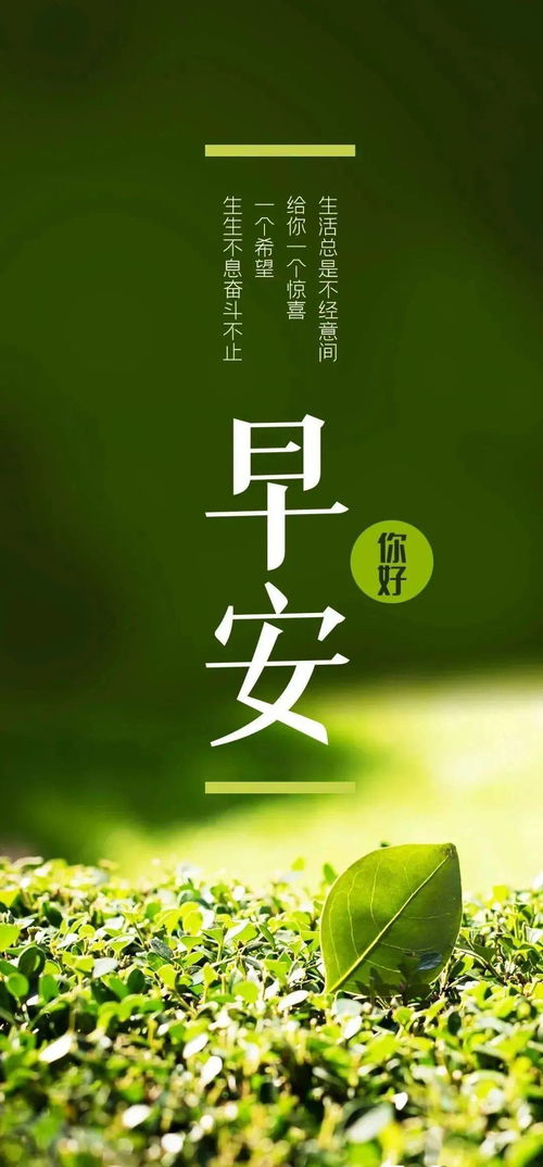 一周正能量句子,很長的正能量句子,搜一段正能量句子