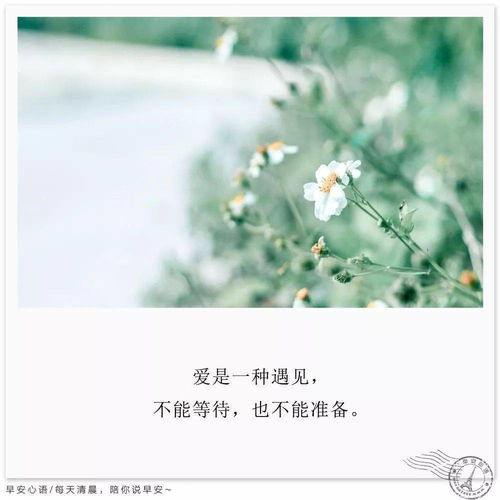 早安正能量朋友圈高質(zhì)量句子,早安勵志正能量的句子朋友圈,早安勵志正能量滿滿的句子朋友圈