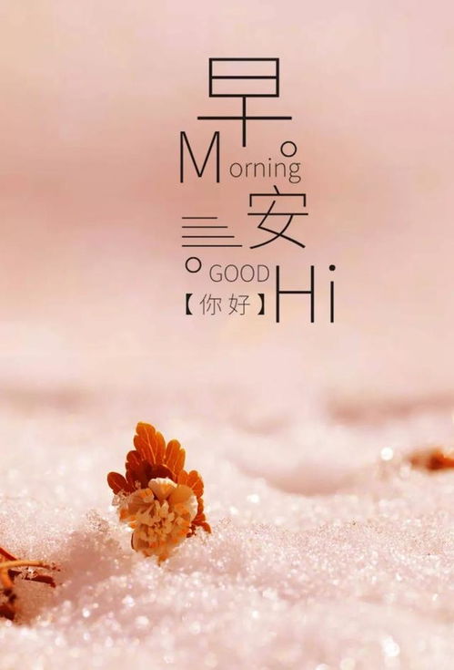 句子,能量,內(nèi)心