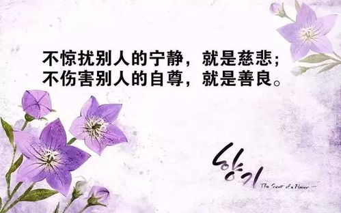 早安語錄正能量的句子,健康語錄正能量句子,工作語錄正能量句子