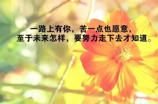 值班正能量的唯美句子,早安正能量唯美句子,古風(fēng)正能量唯美句子