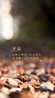 朋友圈經(jīng)典正能量句子大全