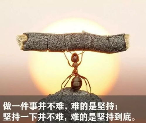 懷念青春正能量短句子