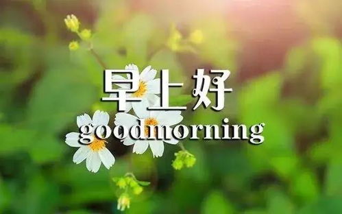 早安幽默正能量的句子說(shuō)說(shuō)心情,早安正能量的句子說(shuō)說(shuō)2021年,霸氣正能量的早安說(shuō)說(shuō)句子