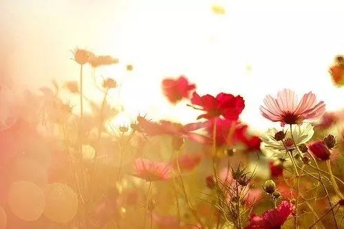 唯美正能量積極句子