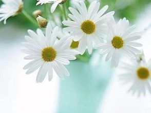 下雨天的正能量句子