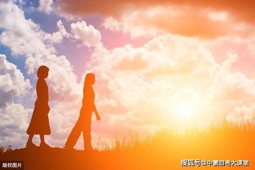 姐妹情深正能量的句子