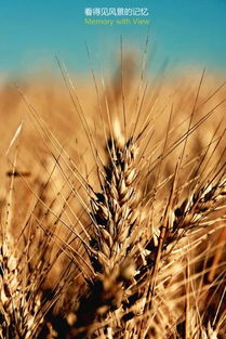 勵志正能量致工作奮斗的句子