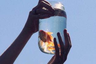 正能量抖音爆棚最火的句子