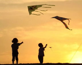 句子,能量,老師,學(xué)生