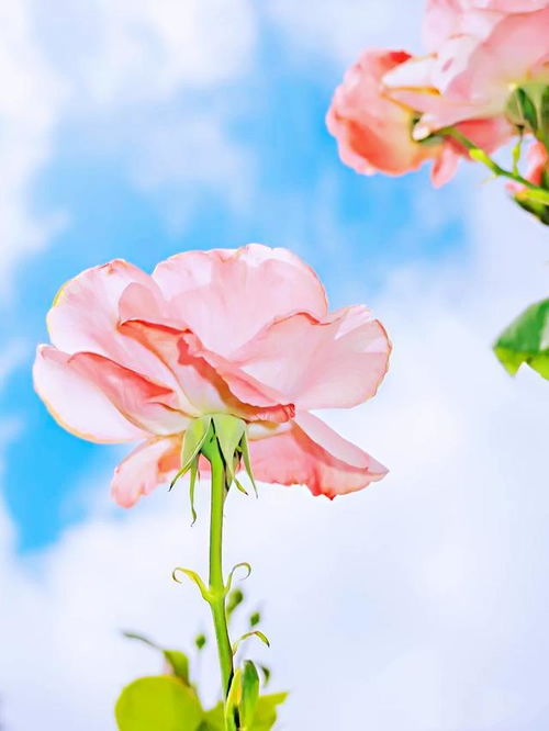 句子,滿滿,能量,做事