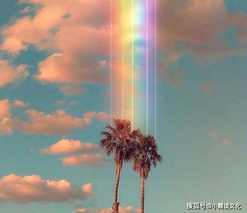 逆境霸氣正能量的句子,逆境重生的勵志句子,形容逆境重生的句子