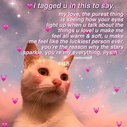 句子,能量,適合