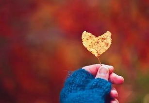 句子,能量,緣分,珍惜