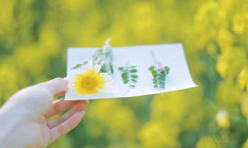 句子,能量,文藝,溫馨