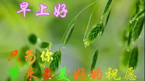 陽(yáng)光正能量的早安句子