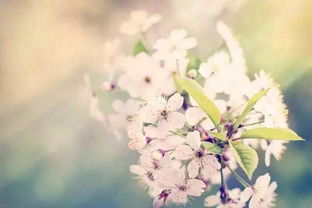 關(guān)于堅(jiān)持的正能量句子,懂得感恩的正能量句子,新的開(kāi)始新的起點(diǎn)正能量句子