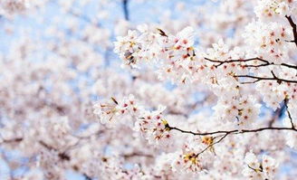 雨后天晴的正能量句子