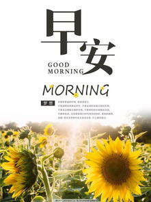 正能量的句子十五字