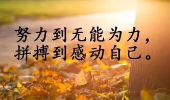 句子,勵(lì)志,語(yǔ)錄,能量