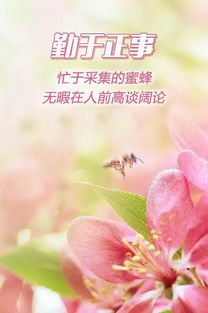 早安正能量勵(lì)志唯美句子,早安朋友圈正能量的唯美句子,早安說說正能量簡短唯美句子