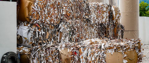 企業(yè)廢料收入計入會計科目