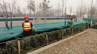 新會計制度科目,建筑業(yè)新會計科目,2021年新會計科目