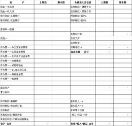 專項(xiàng)會(huì)計(jì)科目設(shè)置建帳核算