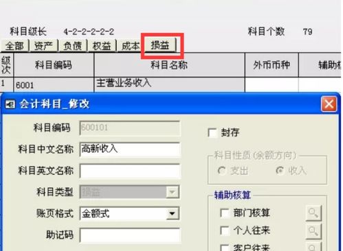 會計科目,設(shè)計,軟件