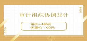 做什么,審計,事務所,會計科目