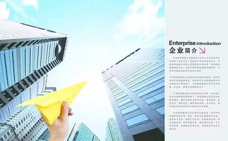 貿(mào)易有限公司會計科目設(shè)置