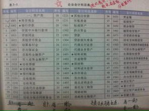 常用會(huì)計(jì)科目參照表格
