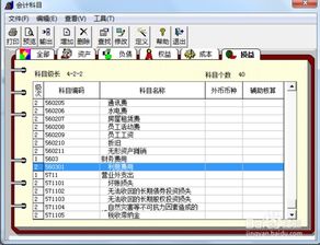 用友怎么增加會計科目明細,用友u8增加會計科目,用友T3如何增加一級會計科目