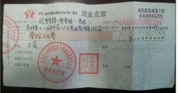 支票,現(xiàn)金,支付,會計科目