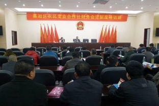 合作社,會計(jì)科目,農(nóng)村,財(cái)務(wù)