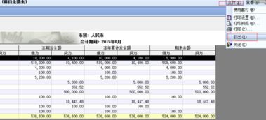 u8中會(huì)計(jì)科目