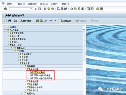 sap系統(tǒng)財(cái)務(wù)系統(tǒng)會(huì)計(jì)科目代碼