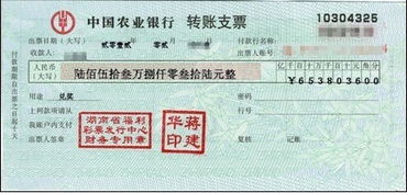 支票,會(huì)計(jì)科目