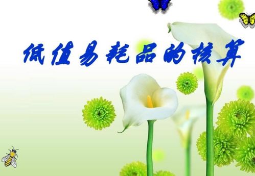 會(huì)計(jì)科目地毯