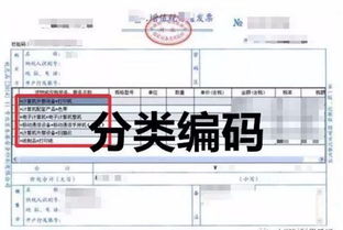 收購蔬菜收到發(fā)票會計科目