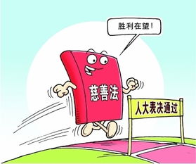 最新慈善組織會(huì)計(jì)科目