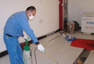 辦公室滅鼠會(huì)計(jì)科目