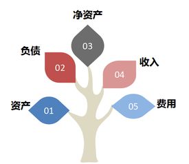 政府會(huì)計(jì)中的財(cái)務(wù)會(huì)計(jì)科目