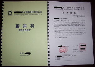 驗資報告計什么會計科目