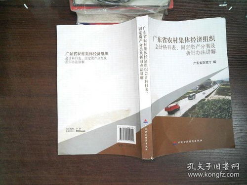 廣東省農(nóng)村集體組織的會計科目