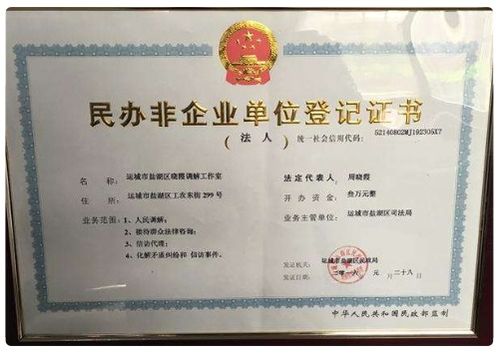 民辦非企業(yè)單位會(huì)計(jì)科目及會(huì)計(jì)報(bào)表,民辦非企業(yè)單位做賬的會(huì)計(jì)科目,民辦非企業(yè)單位會(huì)計(jì)科目及賬務(wù)處理