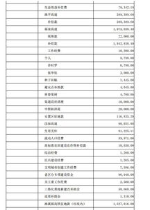 余額,鄉(xiāng)鎮(zhèn),會計(jì)科目